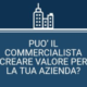 Commercialista S.r.l.: Può creare valore per la tua azienda?