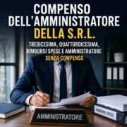amm. compensi imm